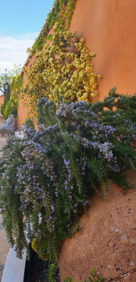 Séjour chez l'habitant La Rayuela Monachil
