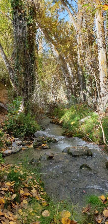 La Rayuela Séjour chez l'habitant Monachil